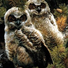 Схема вышивки «00107»