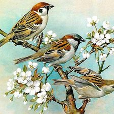 Схема вышивки «Птички»