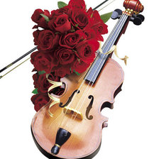 Схема вышивки «скрипочка»