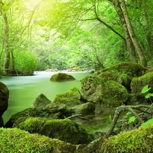 Схема вышивки «лес»