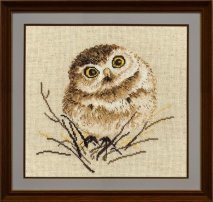 Схема вышивки «совёнка)))»