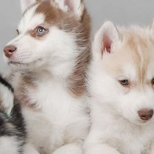 Схема вышивки «2»