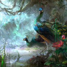 Схема вышивки «павлины»