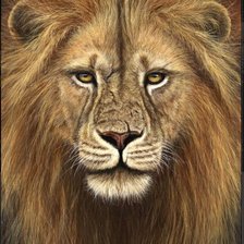 Схема вышивки «№1337963»