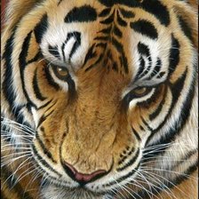 Схема вышивки «№1337965»