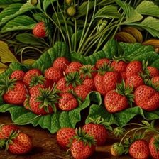 Схема вышивки «№1338158»