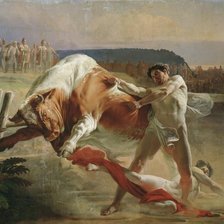 бой с быком