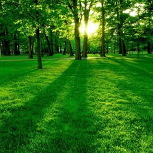 Схема вышивки «№1338379»