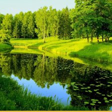 Схема вышивки «№1338380»