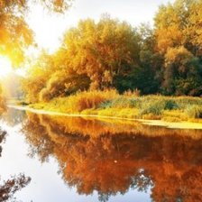 Схема вышивки «№1338387»