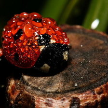 Схема вышивки «Божья коровка»