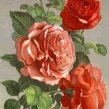 Схема вышивки «3»