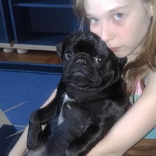 Схема вышивки «подружки»