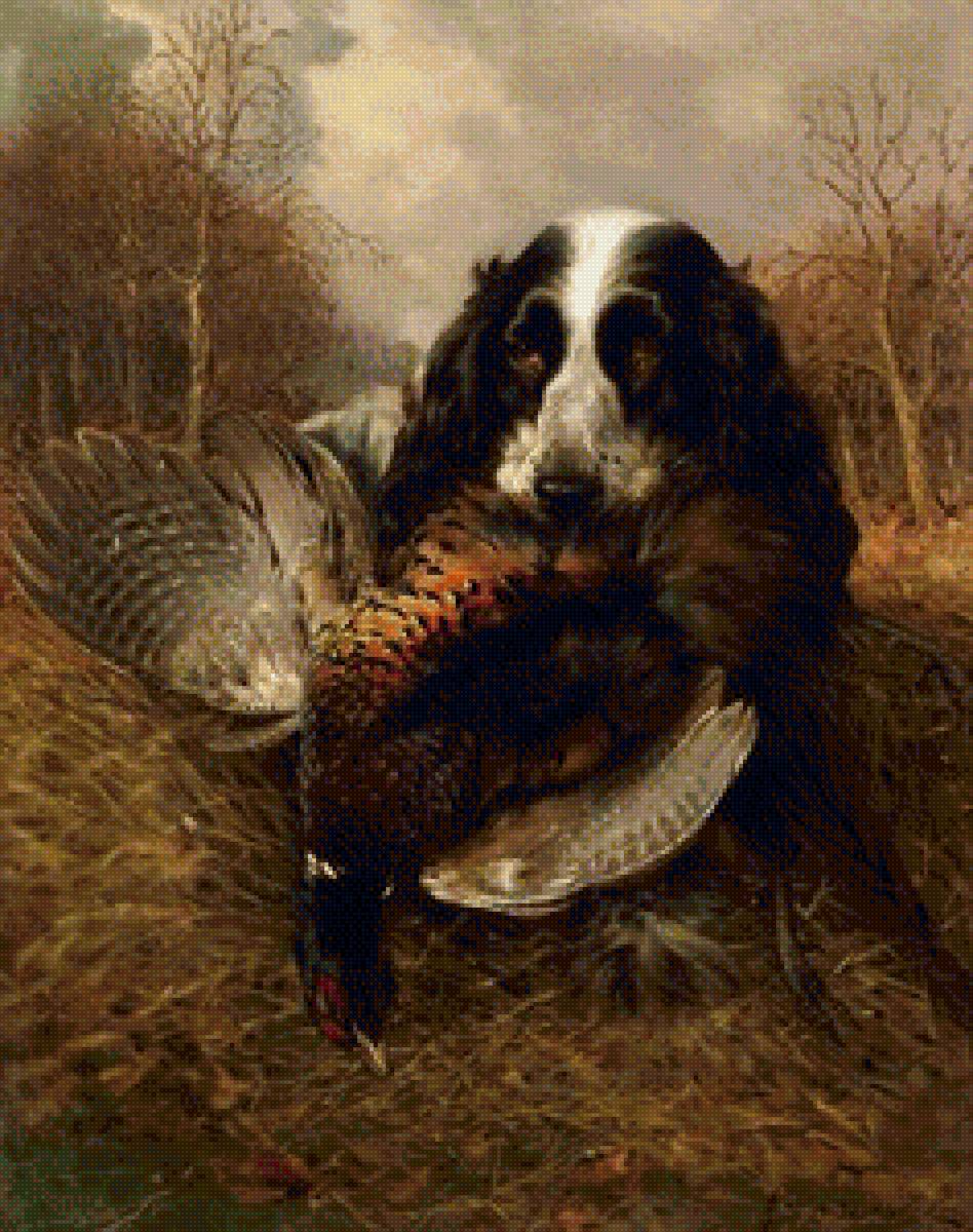 охотник-спаниель - охота, собаки - предпросмотр