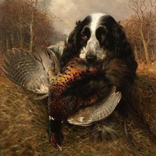 охотник-спаниель