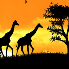 Схема вышивки «№1339343»