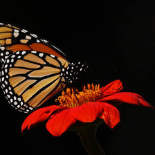 Схема вышивки «2»