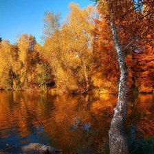 Схема вышивки «Вода и березы»