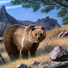 Схема вышивки «миша»