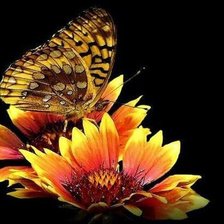 Схема вышивки «№1339972»