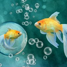 Схема вышивки «Золотые рыбки»