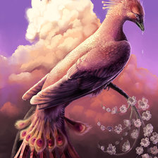 Схема вышивки «птица-феникс»