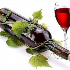 Схема вышивки «Хмель»