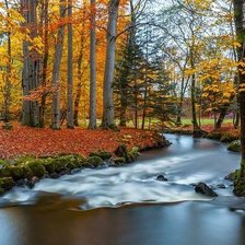 Схема вышивки «Осень Золотая»