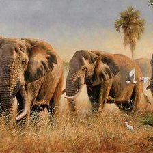 Схема вышивки «стадо слонов»