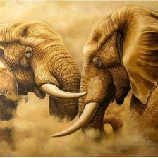 Схема вышивки «слоны»