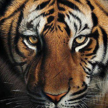 Схема вышивки «№1341927»