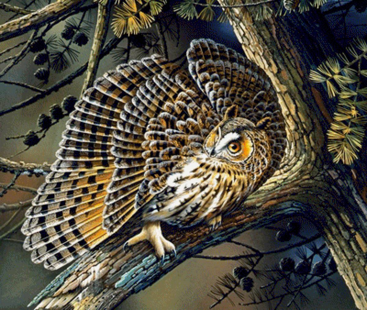 №1342111 - птицы, совы - предпросмотр