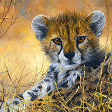 Схема вышивки «№1342251»