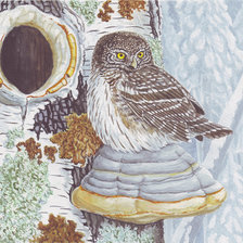 Схема вышивки «№1342332»