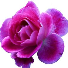 Схема вышивки «Цветок»