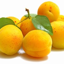 Схема вышивки «абрикос»