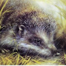 Схема вышивки «Ёжик в траве»