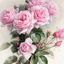 Схема вышивки «розы и  шмели»