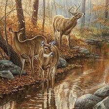 Схема вышивки «№1343280»