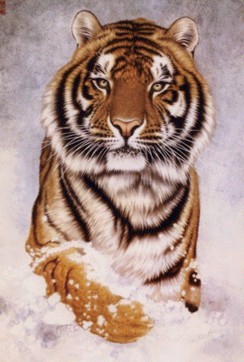 №1343292 - хищники, животные, тигры, тигр - предпросмотр