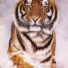 Схема вышивки «№1343292»