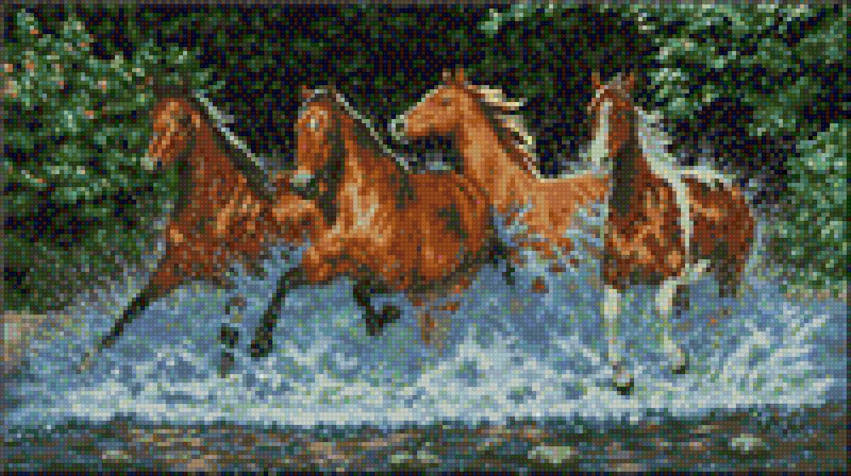 лошади - предпросмотр