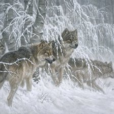 Схема вышивки «волки»