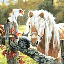 Схема вышивки «дружба»