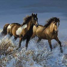 Схема вышивки «№1343798»