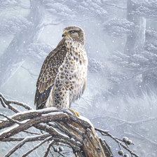 Схема вышивки «№1344180»