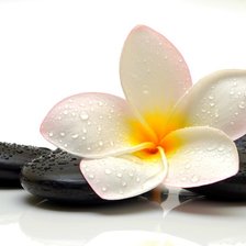 Схема вышивки «№1344192»