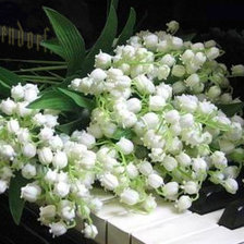 Схема вышивки «Ландыши на рояле (full size, max color, remastered)»