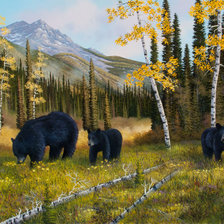 Схема вышивки «№1345835»