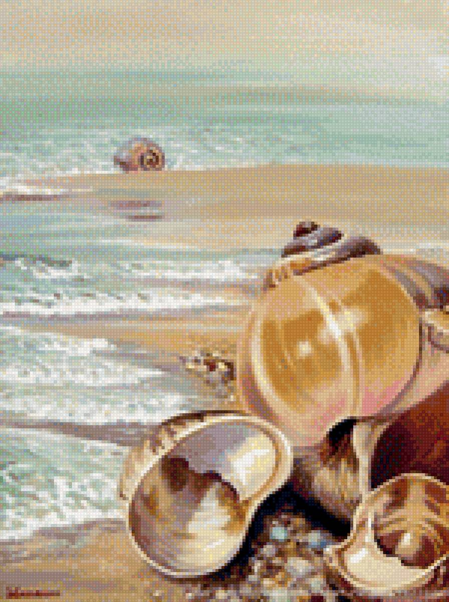 Ракушки на берегу - волны, пляж, лето, ракушки, берег - предпросмотр